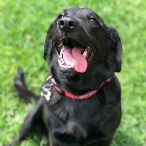 Meet your Posher, Jillian